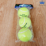 Pelota Tenis Werkon 929 Unidades Tennis Deporte Set X3