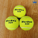 Pelota Tenis Werkon 929 Unidades Tennis Deporte Set X3