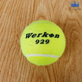 Pelota Tenis Werkon 929 Unidades Tennis Deporte Set X3