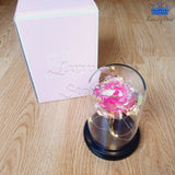 Rosa Eterna Rosada Tornasol Luces Led Alumbra Flor Regalo