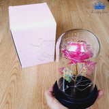 Rosa Eterna Rosada Tornasol Luces Led Alumbra Flor Regalo