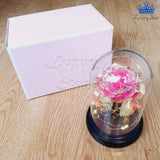 Rosa Eterna Rosada Tornasol Luces Led Alumbra Flor Regalo