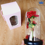 Rosa Eterna Roja Luz Led Alumbra Regalo Detalles Mujer